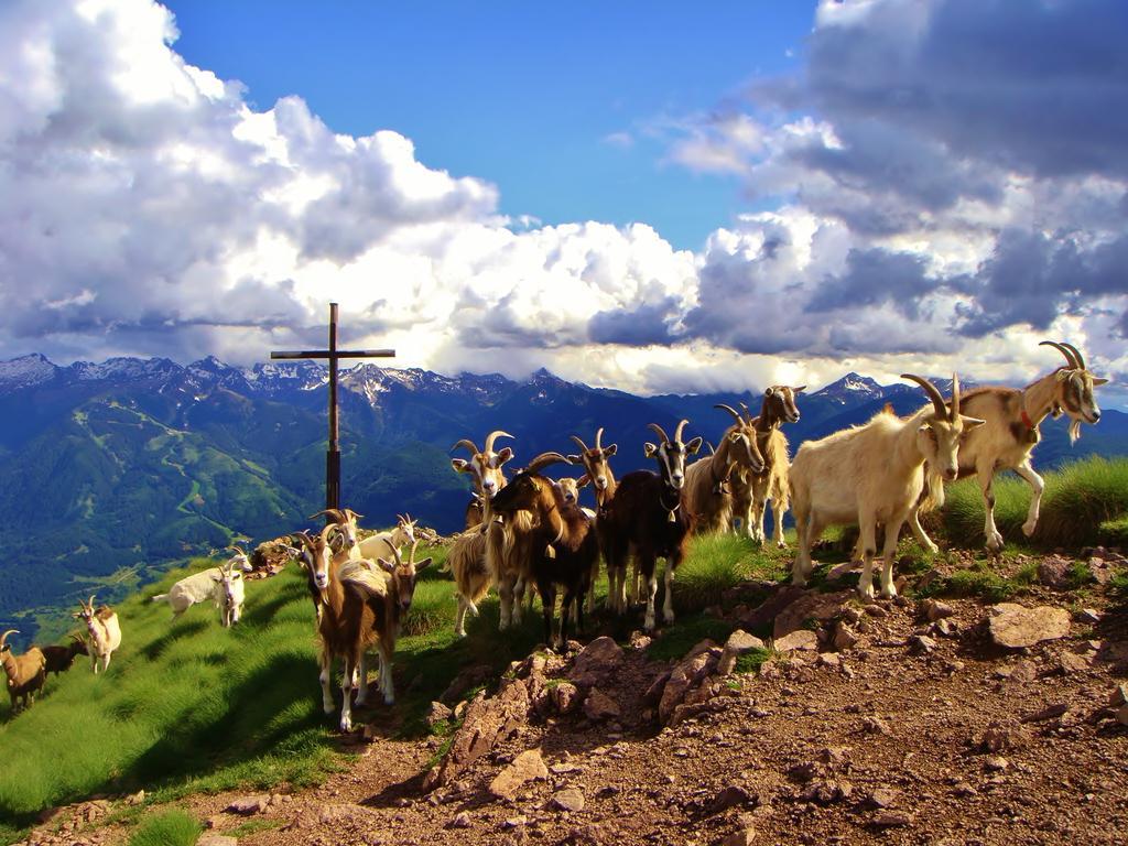 Berghotel Jochgrimm - Your Dolomites Home Varena Zewnętrze zdjęcie