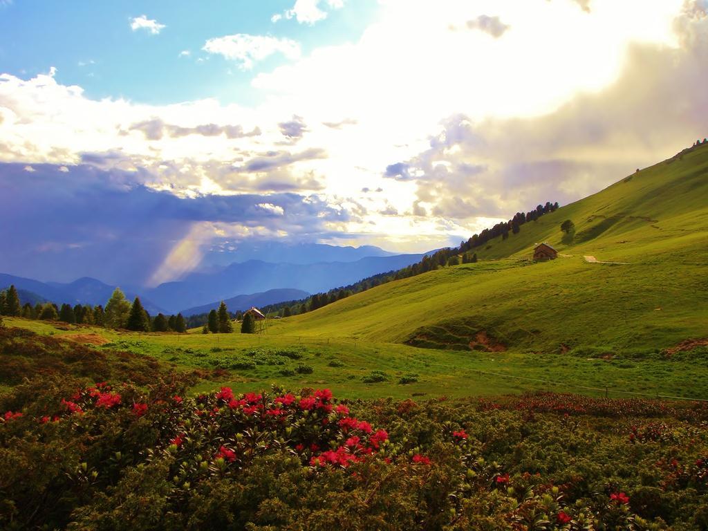 Berghotel Jochgrimm - Your Dolomites Home Varena Zewnętrze zdjęcie